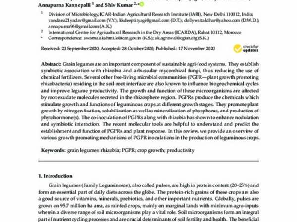 Significance of Plant Growth Promoting Rhizobacteria in Grain Legumes: Growth Promotion and Crop Production