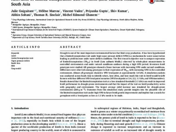 Relevance of limited-transpiration trait for lentil (Lens culinaris Medik.) in South Asia