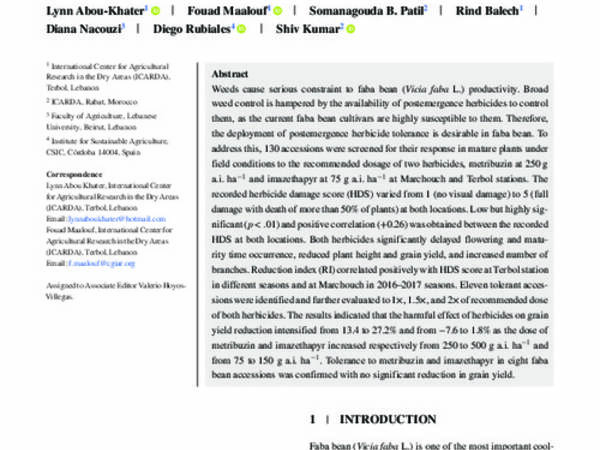 Identification of tolerance to metribuzin and imazethapyr herbicides in faba bean