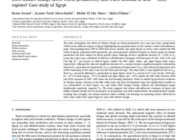 Does climate change affect wheat productivity and water demand in arid regions? Case study of Egypt