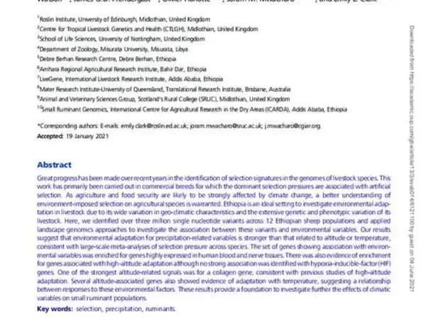 Whole-Genome Sequence Data Suggest Environmental Adaptation of Ethiopian Sheep Populations 