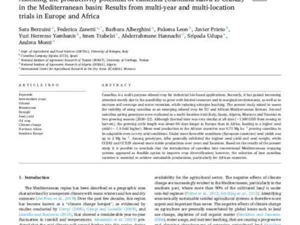 Assessing the productivity potential of camelina (Camelina sativa L. Crantz) in the Mediterranean basin: Results from multi-year and multi-location trials in Europe and Africa