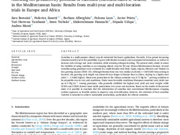 Assessing the productivity potential of camelina (Camelina sativa L. Crantz) in the Mediterranean basin: Results from multi-year and multi-location trials in Europe and Africa