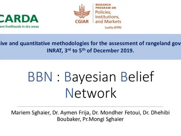 BBN: Bayesian Belief Network