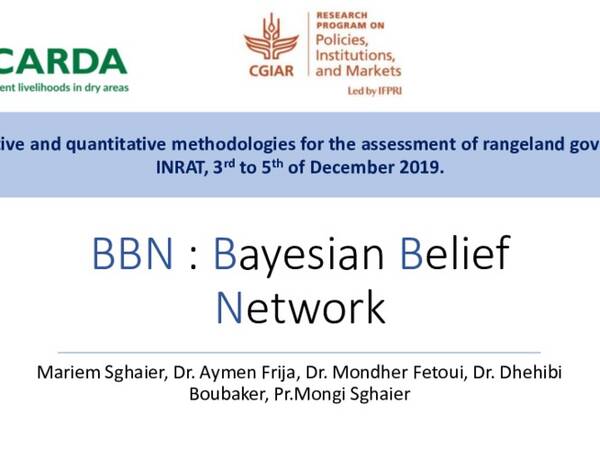 BBN: Bayesian Belief Network