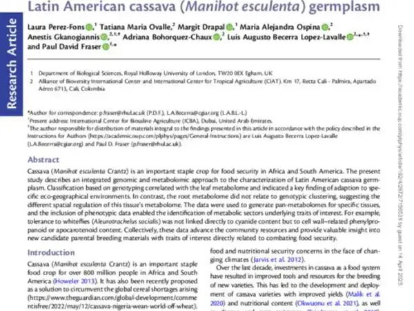 Integrated genetic and metabolic characterization of Latin American cassava (Manihot esculenta) germplasm