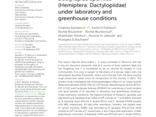 Entomopathogenic fungi as biological control agents of Dactylopius opuntiae (Hemiptera: Dactylopiidae) under laboratory and greenhouse conditions