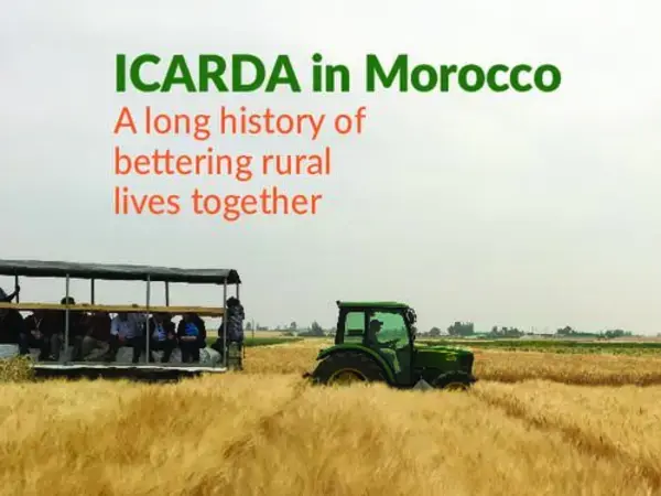 ICARDA in Morocco a long history of bettering rural lives together