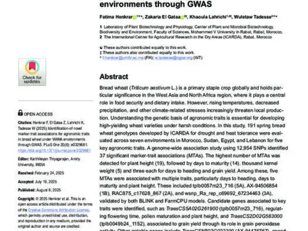 Identification of novel marker-trait associations for agronomic traits in bread wheat under WANA environments through GWAS