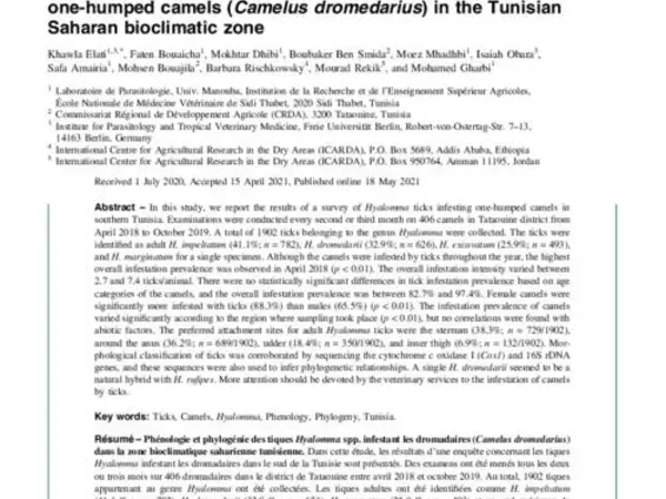 Phenology and phylogeny of Hyalomma spp. ticks infesting one-humped camels (Camelus dromedarius) in the Tunisian Saharan bioclimatic zone
