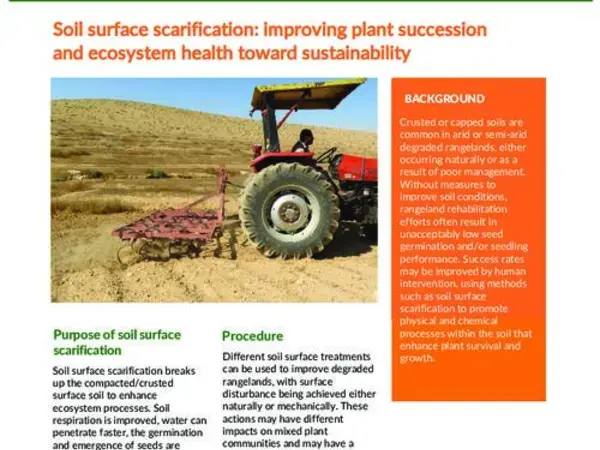Soil surface scarification: improving plant succession and ecosystem health toward sustainability