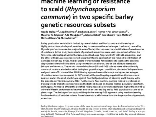 Assessment and modeling using machine learning of resistance to scald (Rhynchosporium commune) in two specifc barley genetic resources subsets