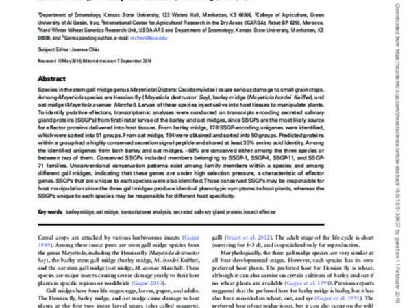 Conserved and Unique Putative Effectors Expressed in the Salivary Glands of Three Related Gall Midge Species