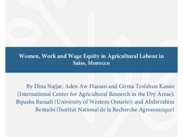 Women, work, and wage equity in agricultural labour in Saiss, Morocco