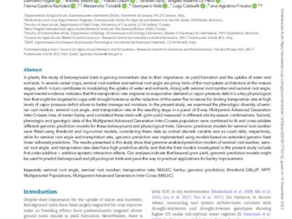 High accuracy of genome-enabled prediction of belowground and physiological traits in barley seedlings