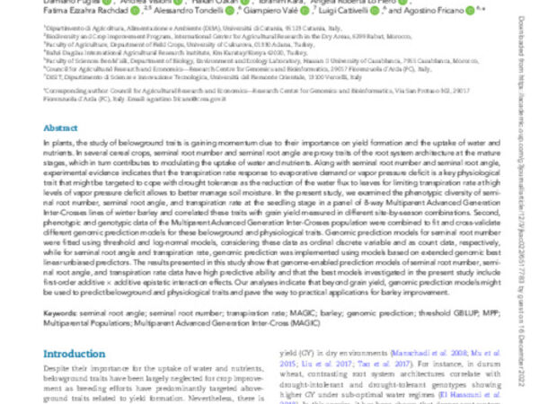 High accuracy of genome-enabled prediction of belowground and physiological traits in barley seedlings