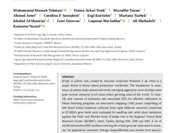 Genome-wide association study of resistance to PstS2 and Warrior races of Puccinia striiformis f. sp. tritici (stripe rust) in bread wheat landraces