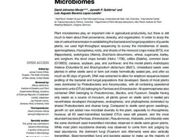 Seed-Transmitted Bacteria and Fungi Dominate Juvenile Plant Microbiomes