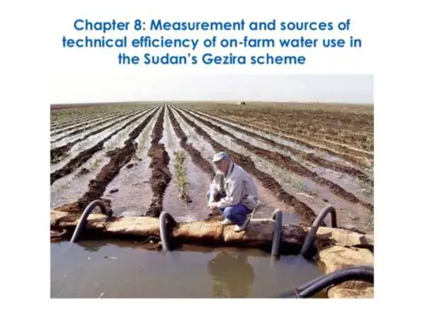 Measurement and sources of technical eficiency of on-farm water use in the Sudan’s Gezira scheme