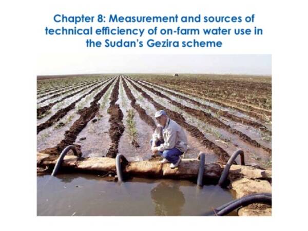 Measurement and sources of technical eficiency of on-farm water use in the Sudan’s Gezira scheme