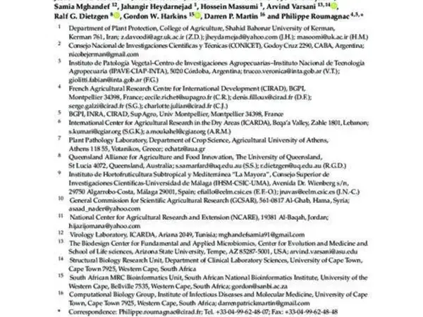 The Westward Journey of Alfalfa Leaf Curl Virus