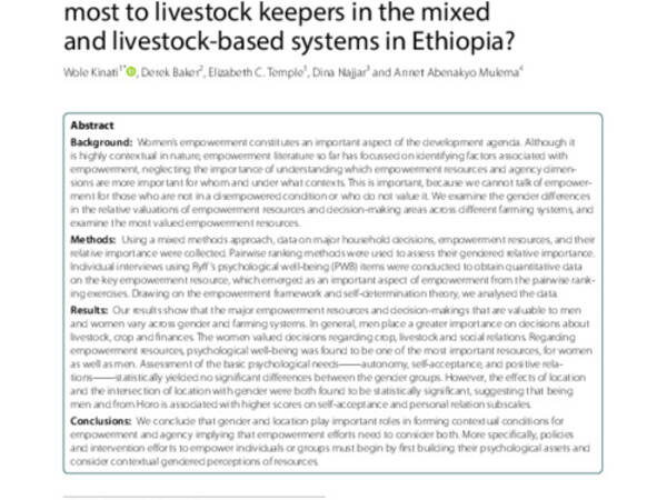 Empowerment resources, decision-making and gender attitudes: which matter most to livestock keepers in the mixed and livestock-based systems in Ethiopia?