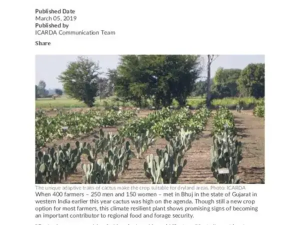 Cactus is catching up in India