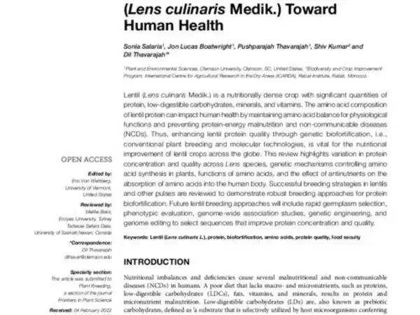 Protein Biofortification in Lentils (Lens culinaris Medik.) Toward Human Health