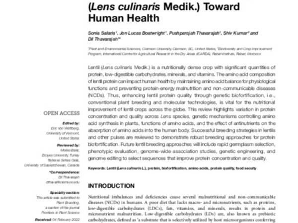 Protein Biofortification in Lentils (Lens culinaris Medik.) Toward Human Health