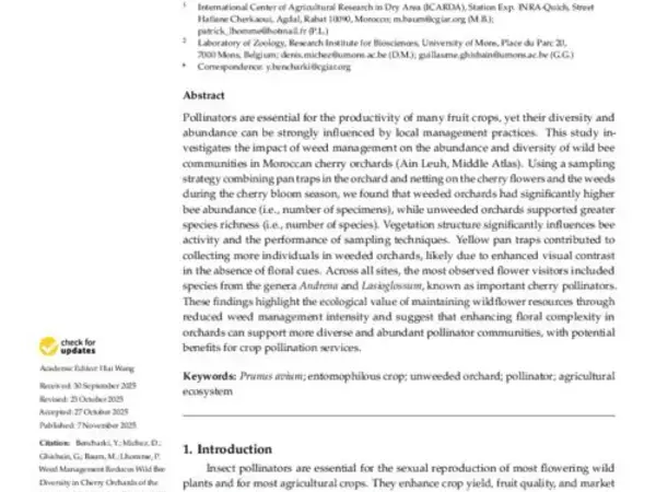 Weed Management Reduces Wild Bee Diversity in Cherry Orchards of the Moroccan Middle Atlas