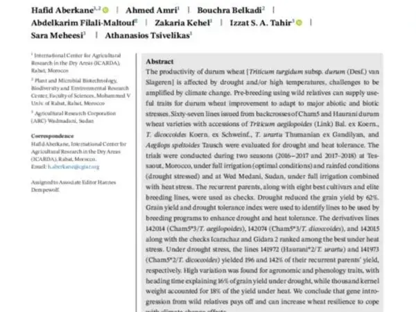 Evaluation of durum wheat lines derived from interspecific crosses under drought and heat stress