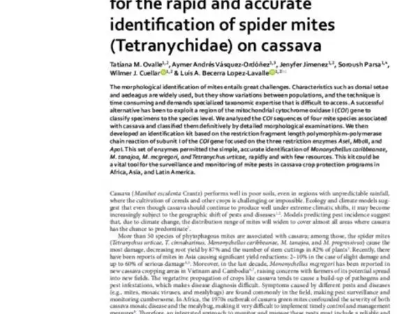 A simple PCR-based method for the rapid and accurate identification of spider mites (Tetranychidae) on cassava