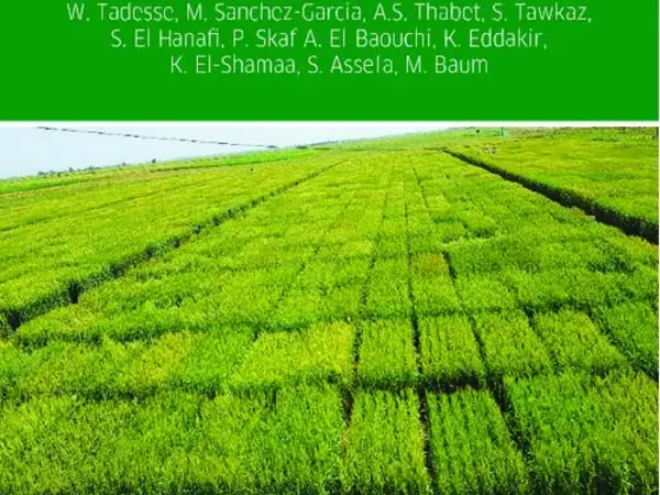 Wheat Breeding Handbook at ICARDA 