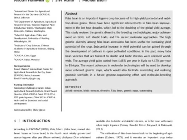 Breeding and genomics status in faba bean (Vicia faba)