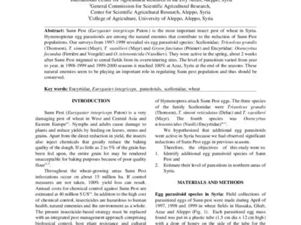 Sunn Pest (Hemiptera: Scutelleridae) Oviposition and Egg Parasitism in Syria