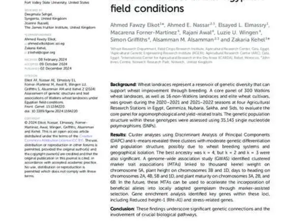 Assessment of genetic structure and trait associations of Watkins wheat landraces under Egyptian field conditions