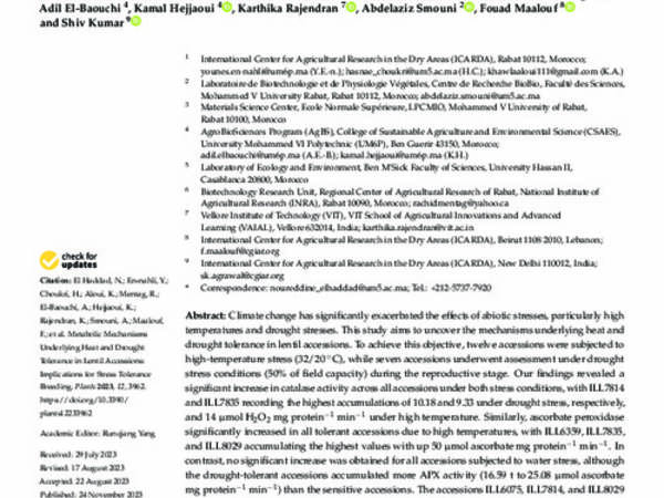 Metabolic Mechanisms Underlying Heat and Drought Tolerance in Lentil Accessions: Implications for Stress Tolerance Breeding