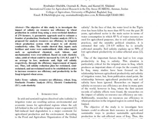 Assessing the Impact of Salinity on Resource Use Efficiency in Wheat Production in Central Iraq