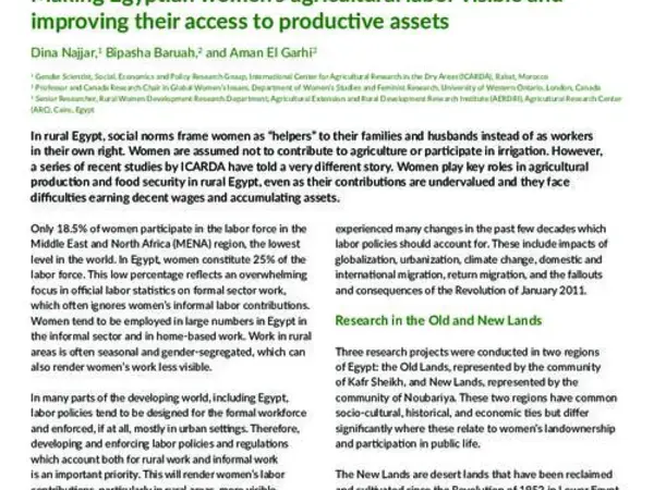 Making Egyptian women’s agricultural labor visible and improving their access to productive assets 