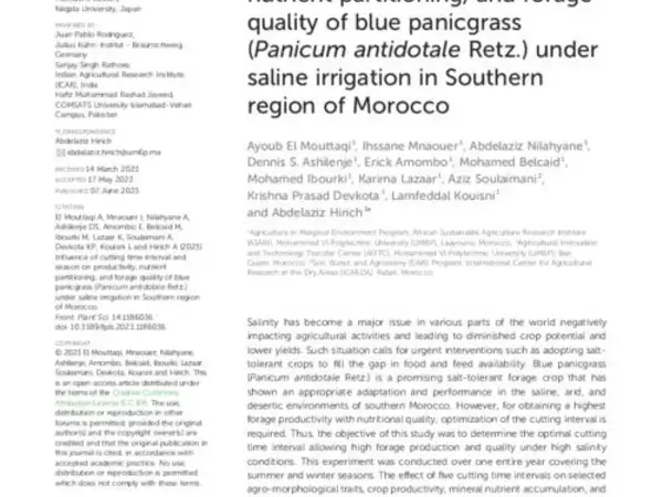 Influence of cutting time interval and season on productivity, nutrient partitioning, and forage quality of blue panicgrass (Panicum antidotale Retz.) under saline irrigation in Southern region of Morocco