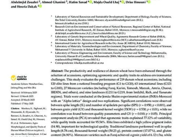 Performance, Agro-Morphological, and Quality Traits of Durum Wheat (Triticum turgidum L. ssp. durum Desf.) Germplasm: A Case Study in Jemâa Shaïm, Morocco