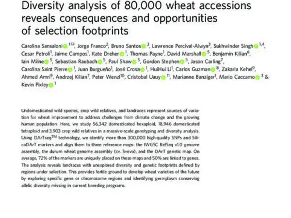 Diversity analysis of 80,000 wheat accessions reveals consequences and opportunities of selection footprints