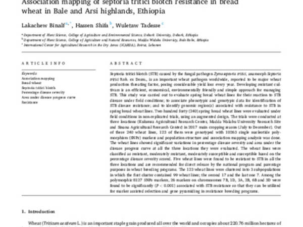 Association mapping of septoria tritici blotch resistance in bread wheat in Bale and Arsi highlands, Ethiopia