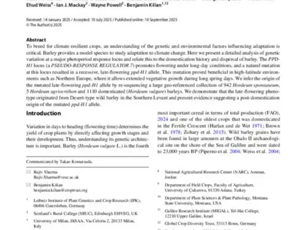 On the origin of the late‑flowering ppd‑H1 allele in barley