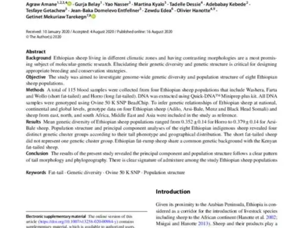 Genome‑wide insights of Ethiopian indigenous sheep populations reveal the population structure related to tail morphology and phylogeography