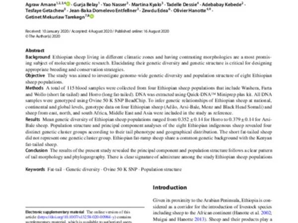 Genome‑wide insights of Ethiopian indigenous sheep populations reveal the population structure related to tail morphology and phylogeography