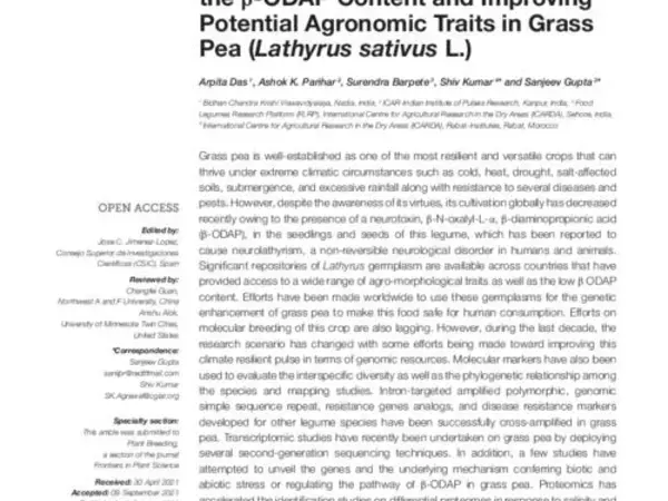 Current Perspectives on Reducing the β-ODAP Content and Improving Potential Agronomic Traits in Grass Pea (Lathyrus sativus L.)