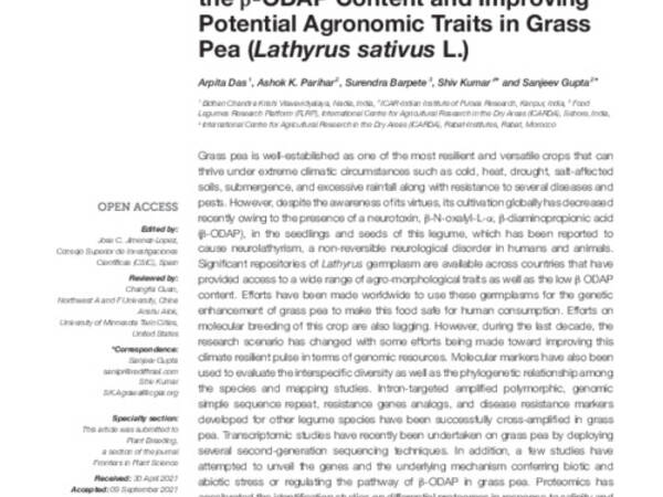 Current Perspectives on Reducing the β-ODAP Content and Improving Potential Agronomic Traits in Grass Pea (Lathyrus sativus L.)