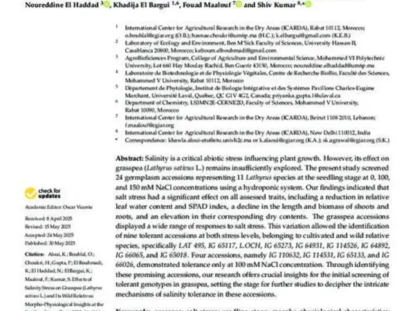 Effects of Salinity Stress on Grasspea (Lathyrus sativus L.) and Its Wild Relatives: Morpho-Physiological Insights at the Seedling Stage