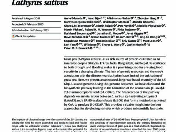 Genomics and biochemical analyses reveal a metabolon key to β-L-ODAP biosynthesis in Lathyrus sativus